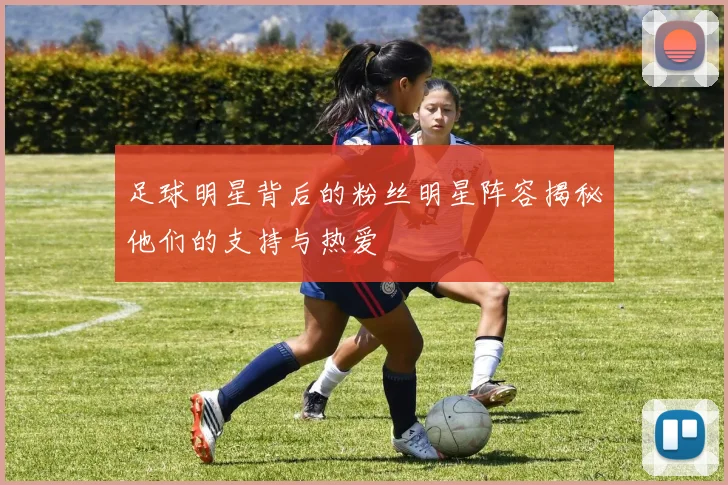 足球明星背后的粉丝明星阵容揭秘他们的支持与热爱