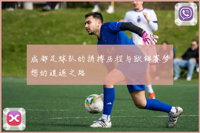 成都足球队的拼搏历程与欧锦赛梦想的追逐之路