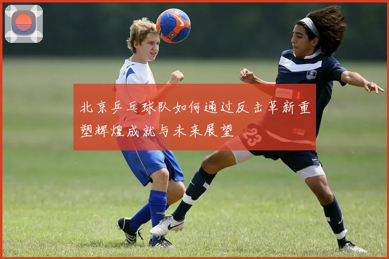 北京乒乓球队如何通过反击革新重塑辉煌成就与未来展望