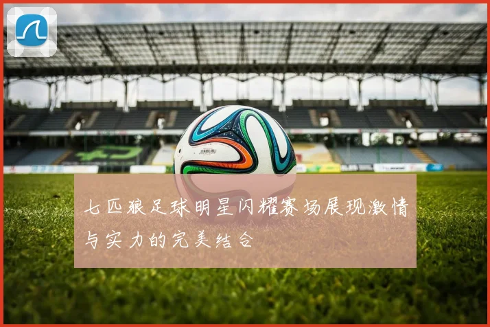 七匹狼足球明星闪耀赛场展现激情与实力的完美结合