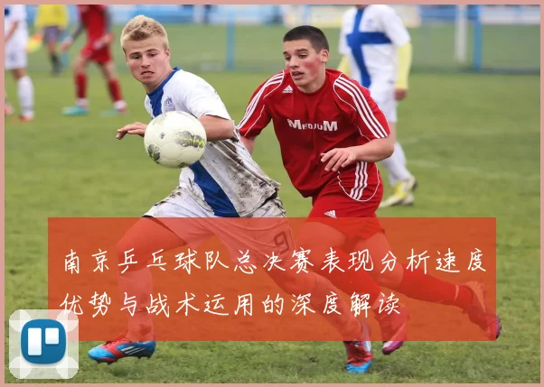 南京乒乓球队总决赛表现分析速度优势与战术运用的深度解读