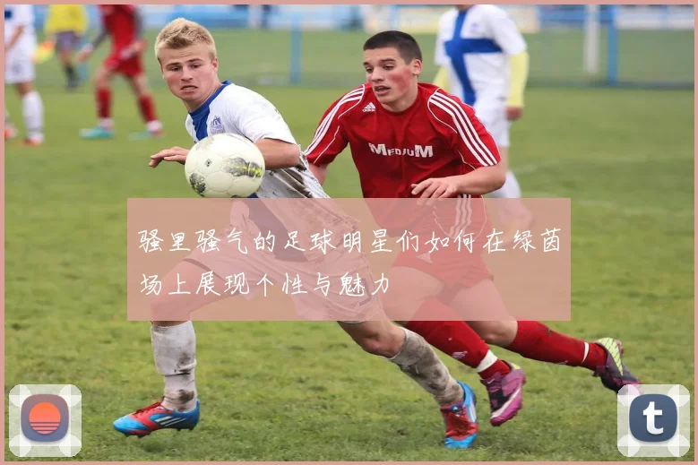 骚里骚气的足球明星们如何在绿茵场上展现个性与魅力