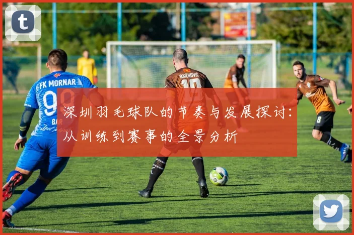 深圳羽毛球队的节奏与发展探讨：从训练到赛事的全景分析