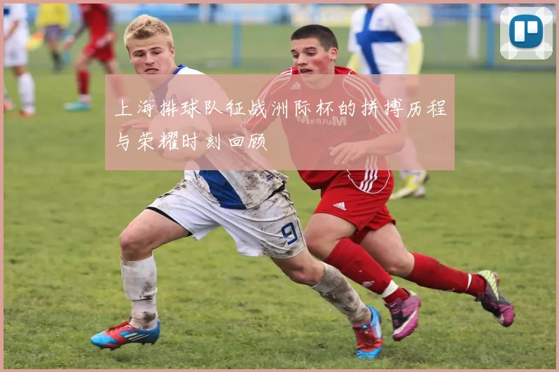 上海排球队征战洲际杯的拼搏历程与荣耀时刻回顾