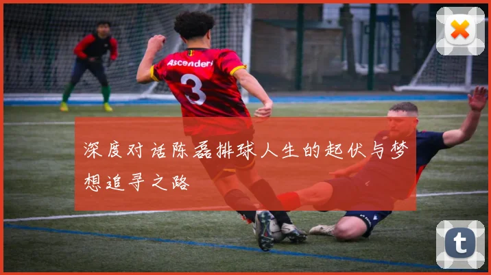 深度对话陈磊排球人生的起伏与梦想追寻之路