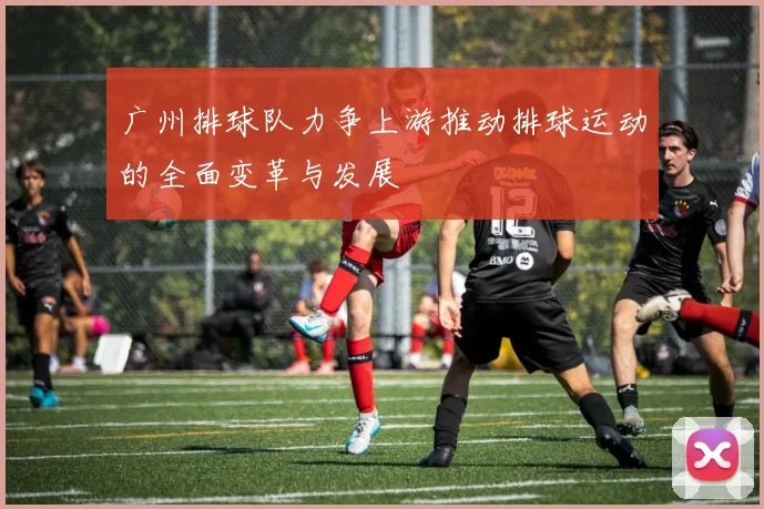 广州排球队力争上游推动排球运动的全面变革与发展