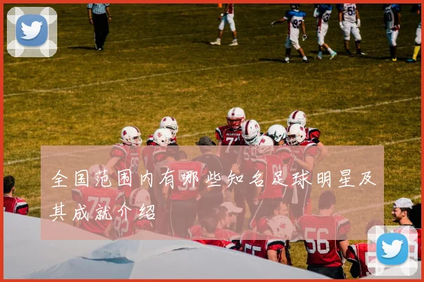 全国范围内有哪些知名足球明星及其成就介绍