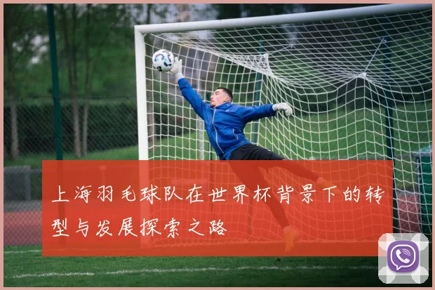 上海羽毛球队在世界杯背景下的转型与发展探索之路