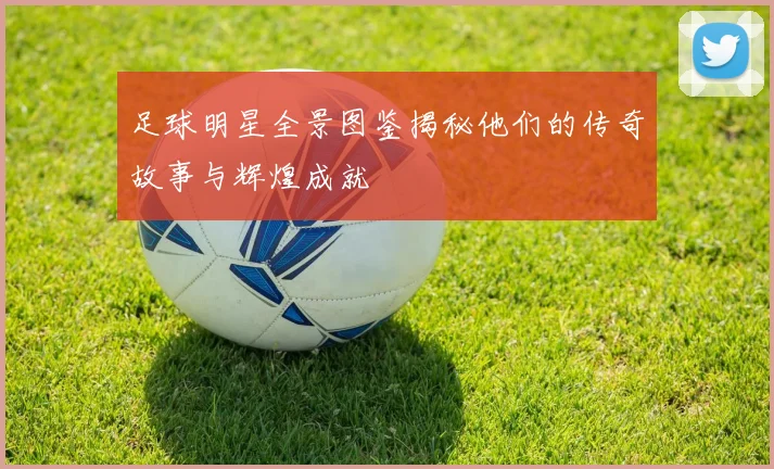 足球明星全景图鉴揭秘他们的传奇故事与辉煌成就