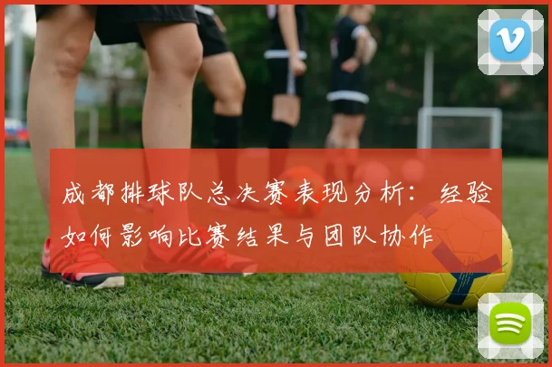 成都排球队总决赛表现分析：经验如何影响比赛结果与团队协作